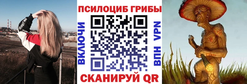 Купить закладки  Шахунья  Псилоцибиновые грибы прущие грибы 